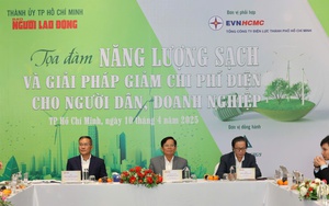 Đức đẩy mạnh dự án điện mặt trời trên mái nhà - Ảnh 2.