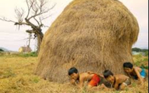 Tiếng Việt giàu đẹp: Vì sao gọi là ngủ nướng? - Ảnh 3.