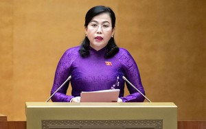Rút ngắn nhiệm kỳ Quốc hội, bầu cử sớm - Ảnh 2.