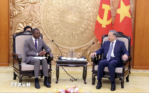 Tổng Giám đốc UNESCO: Với vị thế ngày càng cao, tiếng nói của Việt Nam rất quan trọng - Ảnh 2.