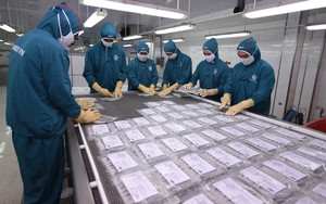 Hàng Việt nhiều cơ hội ở EU - Ảnh 3.
