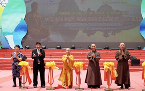 Hơn 350 gốc mai bung nở giữa mùa hè chào mừng Vesak Liên hợp quốc- Ảnh 6.