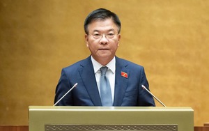 Có an cư mới lạc nghiệp - Ảnh 3.