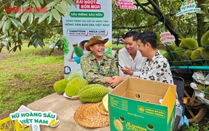 Hình ảnh nông dân Bà Rịa - Vũng Tàu tất bật thu hoạch sầu riêng xuất khẩu đi Trung Quốc- Ảnh 18.