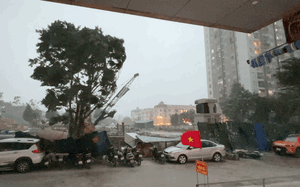 Bão Wipha tiếp tục mạnh lên, quản lý bay họp khẩn- Ảnh 2.