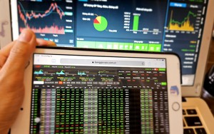Cổ phiếu tím lịm, VN-Index lập đỉnh 25 năm thị trường chứng khoán Việt Nam - Ảnh 1.