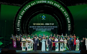 Tập đoàn BRG lần thứ tư liên tiếp được vinh danh Doanh nghiệp Bền vững Việt Nam - Ảnh 2.