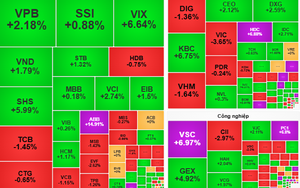 VN-Index giảm sâu, nhà đầu tư nhỏ nên làm gì? - Ảnh 2.