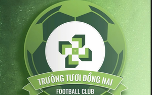 Những điểm mới ở V-League 2025-2026- Ảnh 2.