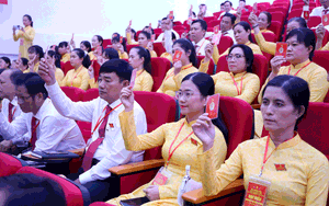 Bà Trương Lê Mỹ Ngọc giữ chức Bí thư Đảng ủy phường Tân Sơn Hòa- Ảnh 2.
