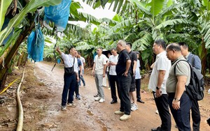 Đưa nông sản lên sàn bán lẻ - Ảnh 3.