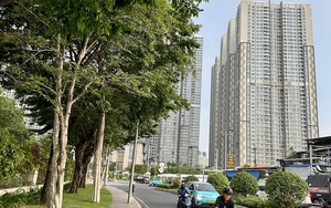 Kiểm soát giá nhà đất, cách nào? - Ảnh 2.