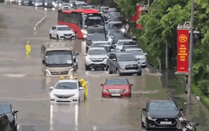 VIDEO: Cây xà cừ lớn bất ngờ đổ đè bẹp xe ô tô đang chạy trên đường phố Hà Nội- Ảnh 1.