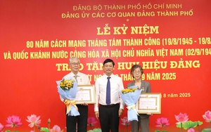 TRAO HUY HIỆU ĐẢNG - Ảnh 2.