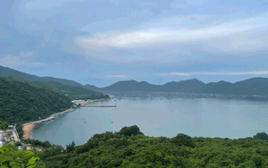 Giọt máu của rừng - Ảnh 3.