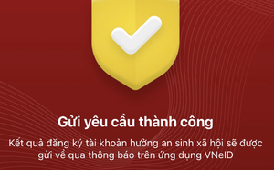 - Ảnh 1.