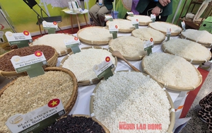 Việt Nam nhập gạo nhiều thứ 2 thế giới- Ảnh 1.
