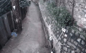  - Ảnh 15.