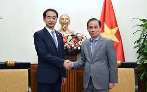 Quyền Bộ trưởng Bộ Ngoại giao Lê Hoài Trung tiếp Đại sứ Mỹ Marc Knapper- Ảnh 2.