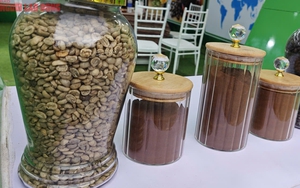 Giá cà phê hôm nay 14-9: Chốt tuần tăng, nhà vườn xả kho chuẩn bị vụ mới- Ảnh 1.