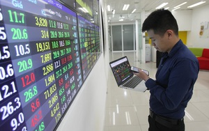 Cơ hội lớn từ nâng hạng thị trường chứng khoán Việt Nam và ảnh hưởng của FED - Ảnh 2.