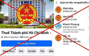  - Ảnh 2.