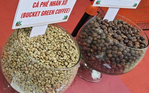Giá cà phê hôm nay 26-9: Robusta lao dốc, Trung Quốc giảm mua cà phê Việt- Ảnh 1.