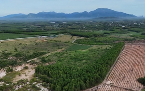 Lâm Đồng thi đua yêu nước thực chất , ngăn ngừa bệnh thành tích - Ảnh 2.