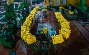 VRG được vinh danh trong Top 25 Thương hiệu công ty niêm yết dẫn đầu 2025 - Ảnh 1.
