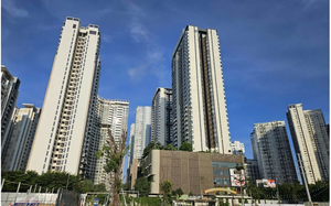 Điều g&igrave; khiến cổ phiếu dầu kh&iacute; tăng trần? - Ảnh 2.