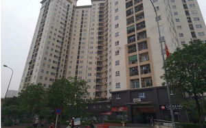 Điều g&igrave; khiến cổ phiếu dầu kh&iacute; tăng trần? - Ảnh 1.