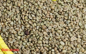 Gi&aacute; c&agrave; ph&ecirc; h&ocirc;m nay 15 - 1: Robusta giảm mạnh , thị trường s&ocirc;i động - Ảnh 1.