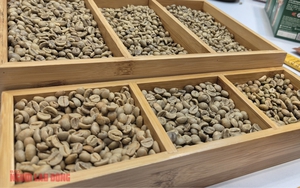 Gi&aacute; c&agrave; ph&ecirc; h&ocirc;m nay 16 - 1: Robusta vượt 4 . 000 USD / tấn , tăng li&ecirc;n tiếp 4 phi&ecirc;n - Ảnh 1.