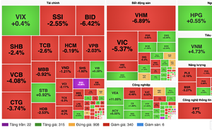 Cổ phiếu BIDV ph&aacute;t h&agrave;nh th&ecirc;m: Ai sẽ l&agrave; c&aacute; mập tham gia đầu tư? - Ảnh 1.