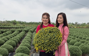 Diễn biến lạ của thị trường b&aacute;nh chưng , b&aacute;nh t&eacute;t Tết Trong năm 2023 - Ảnh 2.