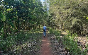 Đường V&agrave;nh đai 4 TP HCM: Nỗ lực tiến độ, chu đ&aacute;o c&ocirc;ng t&aacute;c an cư - Ảnh 2.