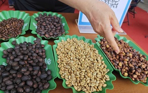 Gi&aacute; c&agrave; ph&ecirc; h&ocirc;m nay 28-1: Tăng n&oacute;ng - Ảnh 1.