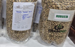 Gi&aacute; c&agrave; ph&ecirc; h&ocirc;m nay 4 - 1: Việt Nam đứng thứ 3 trong cung cấp c&agrave; ph&ecirc; cho Mỹ - Ảnh 1.