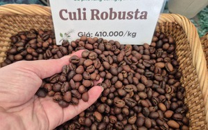 Gi&aacute; c&agrave; ph&ecirc; h&ocirc;m nay 8 - 1: Robusta giảm , Arabica tăng khi Việt Nam xuất khẩu b&ugrave;ng nổ - Ảnh 1.