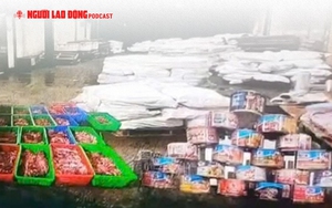 Ph&aacute; đường d&acirc;y giết mổ, ti&ecirc;u thụ 3.600 con heo bệnh, khởi tố 8 bị can - Ảnh 2.