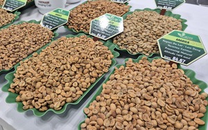 Gi&aacute; c&agrave; ph&ecirc; h&ocirc;m nay 12 - 2 - 2026: Phục hồi nhờ th&ocirc;ng tin kinh tế t&iacute;ch cực - Ảnh 1.