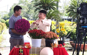 Chợ hoa Tết B&igrave;nh Điền 2026: Kh&ocirc;ng gian giao thương kinh tế đặc sắc - Ảnh 1.