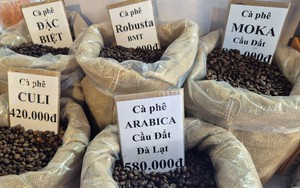 Gi&aacute; c&agrave; ph&ecirc; h&ocirc;m nay 14 - 2: Xu hướng tăng gi&aacute; Robusta v&agrave; Arabica trong 2026 - Ảnh 1.