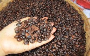 Gi&aacute; c&agrave; ph&ecirc; h&ocirc;m nay 19 - 2 phục hồi mạnh mẽ sau phi&ecirc;n giảm gi&aacute; - Ảnh 1.