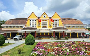 L&acirc;m Đồng đ&oacute;n gần 1 triệu du kh&aacute;ch dịp Tết Nguy&ecirc;n đ&aacute;n, doanh thu 1.800 tỉ đồng - Ảnh 2.