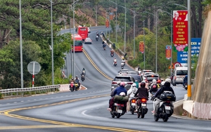 Vườn hoa lay-ơn "lỡ thì" dịp Tết, bất ngờ trở nên hot ở Đà Lạt - Ảnh 16.