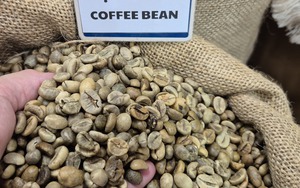 Gi&aacute; c&agrave; ph&ecirc; h&ocirc;m nay 1-3: Giữ gi&aacute; tốt, l&agrave; nh&agrave; cung cấp số 2 cho H&agrave;n Quốc - Ảnh 1.