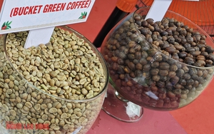 Gi&aacute; c&agrave; ph&ecirc; h&ocirc;m nay 8 - 2: C&agrave; ph&ecirc; Việt giữ gi&aacute; tốt trong bối cảnh giảm mạnh - Ảnh 1.