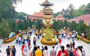 Lễ hội tr&aacute;i c&acirc;y Nam Bộ 2026: Điểm đến hấp dẫn cho du kh&aacute;ch v&agrave; người d&acirc;n TPHCM - Ảnh 1.