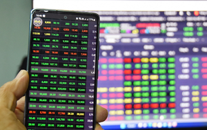 Tết buồn của c&aacute;c nh&agrave; đầu tư chứng kho&aacute;n Việt Nam - Ảnh 2.